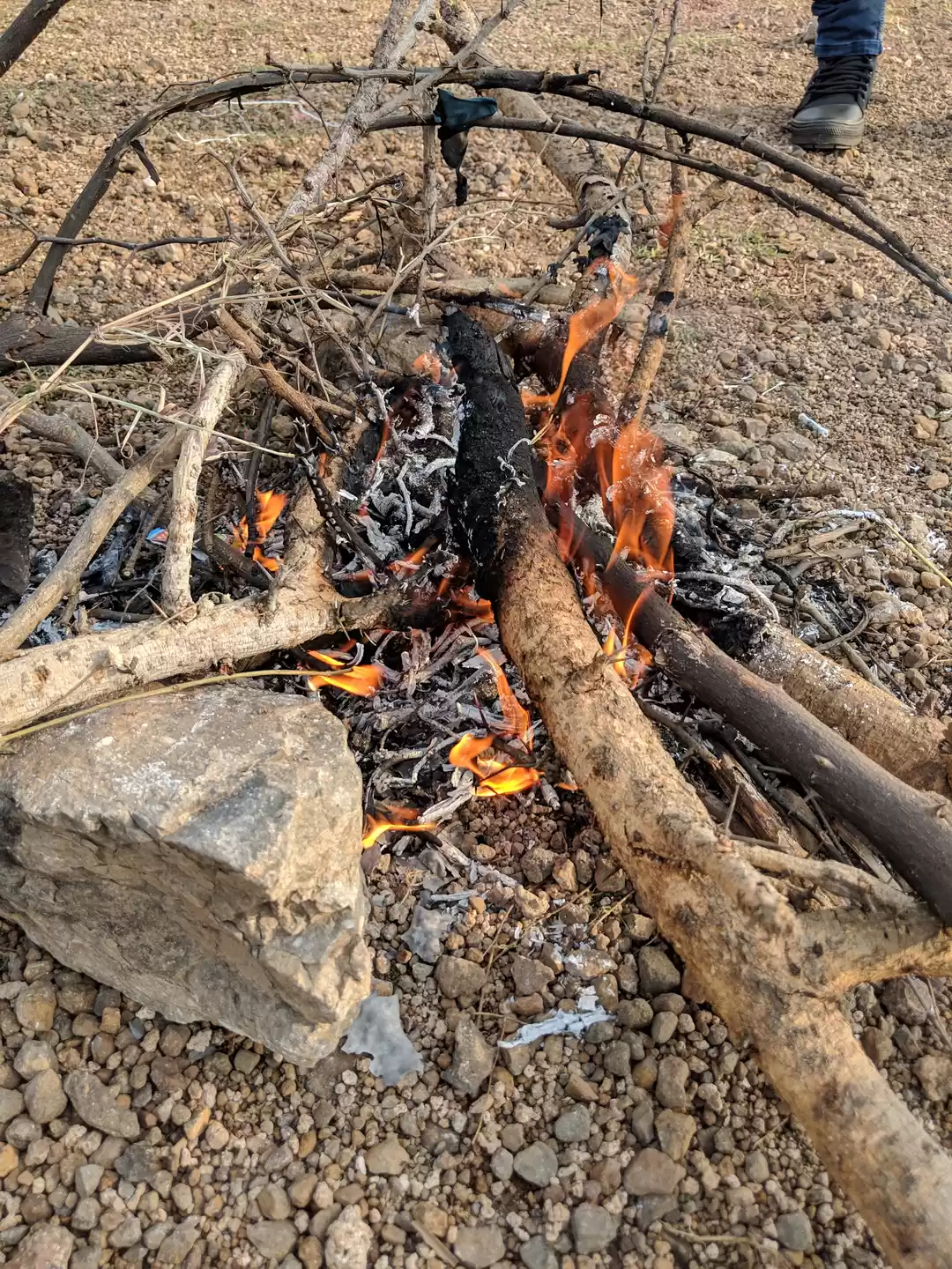 Photo of A breakfast ride to