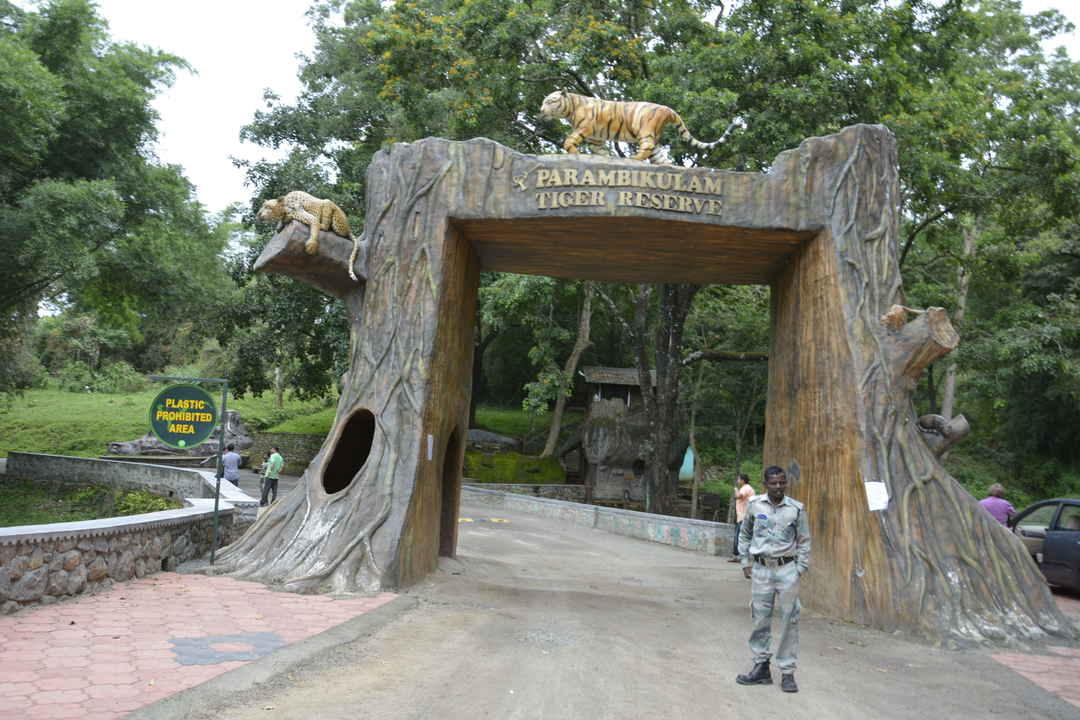 Top Slip / A Trip to Top Slip Pollachi / Parambikulam Tiger Reserve 