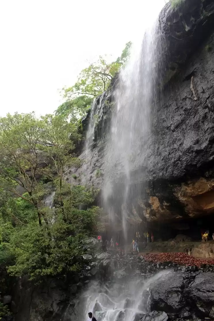 Photo of The Trek(Rajmachi) w