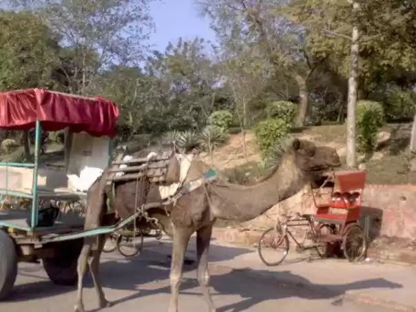 Photo of City Breaks: To Taj