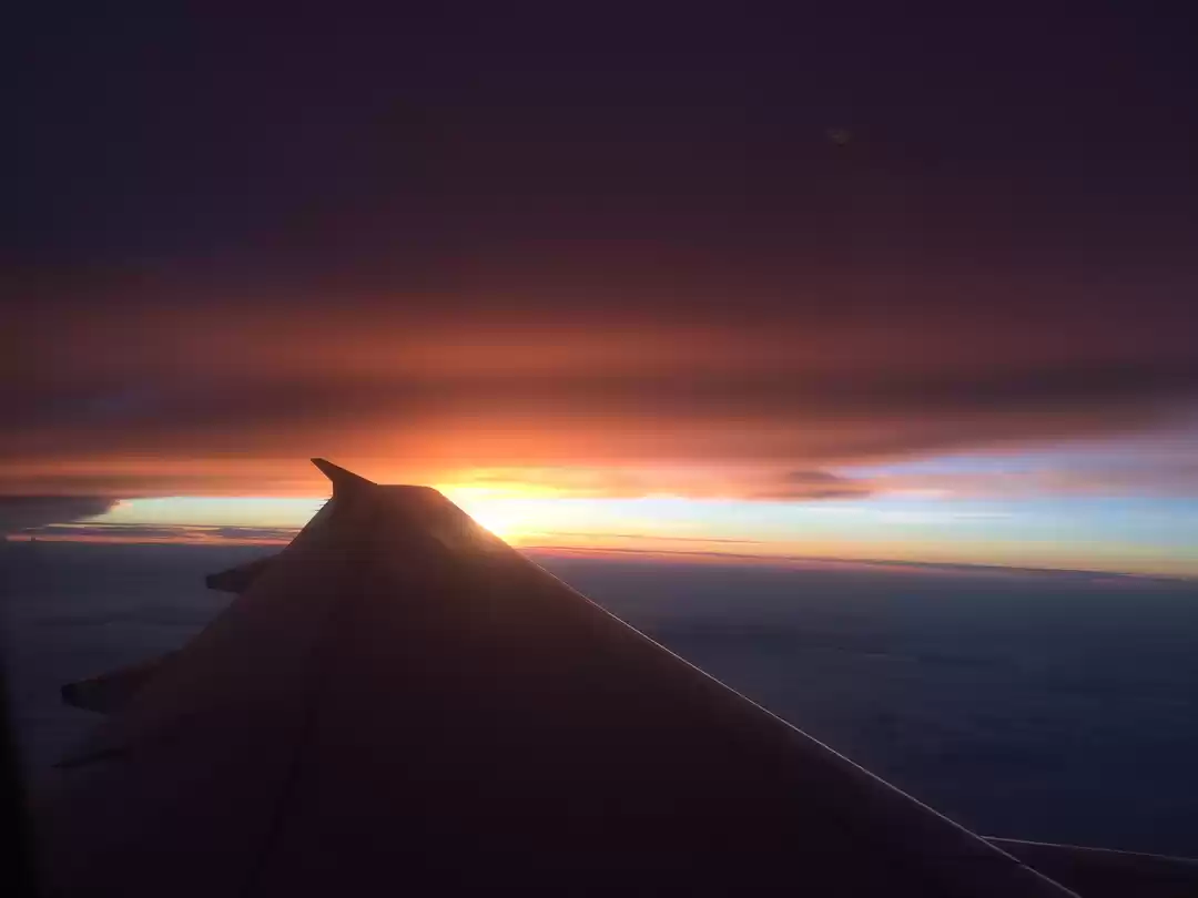 Photo of What They Don't Tell