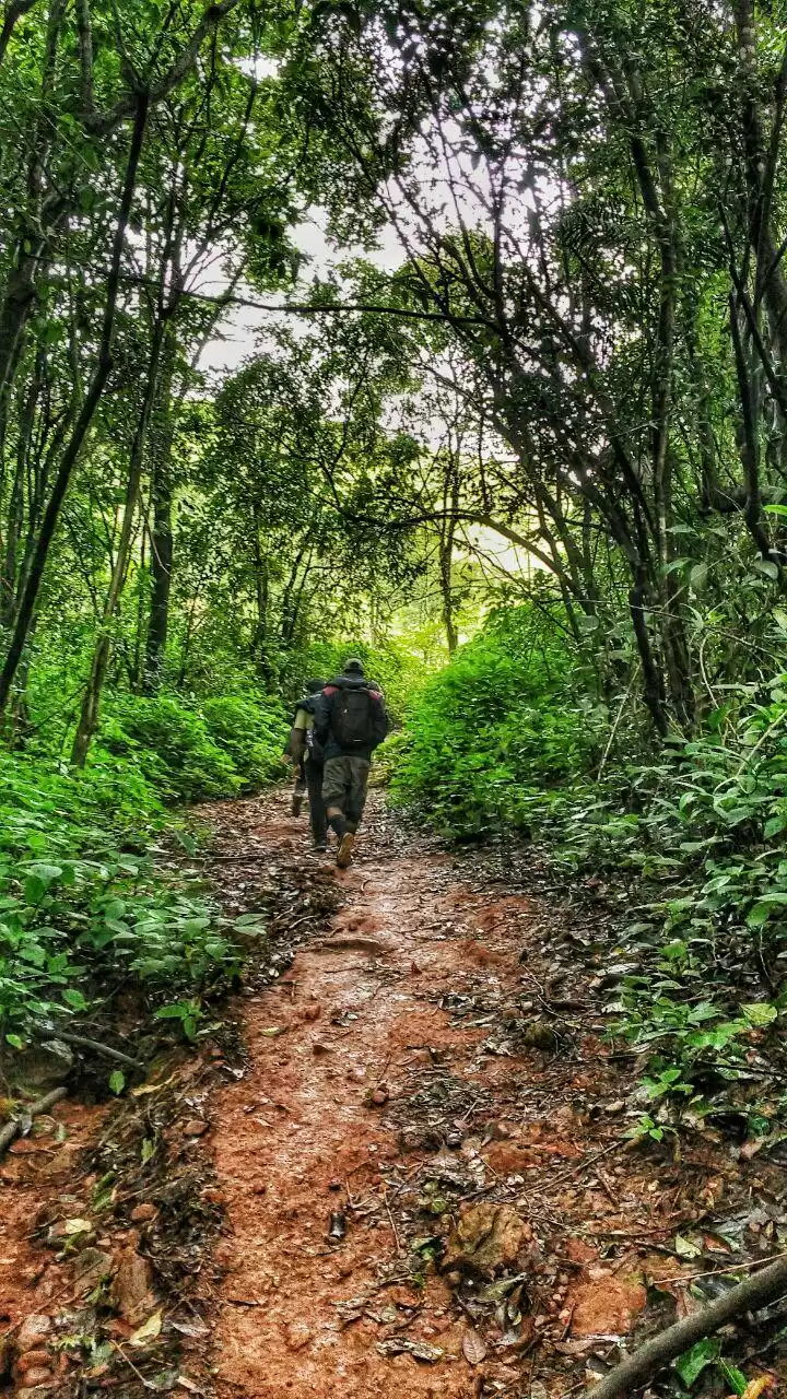 Photo of Falling our way to t