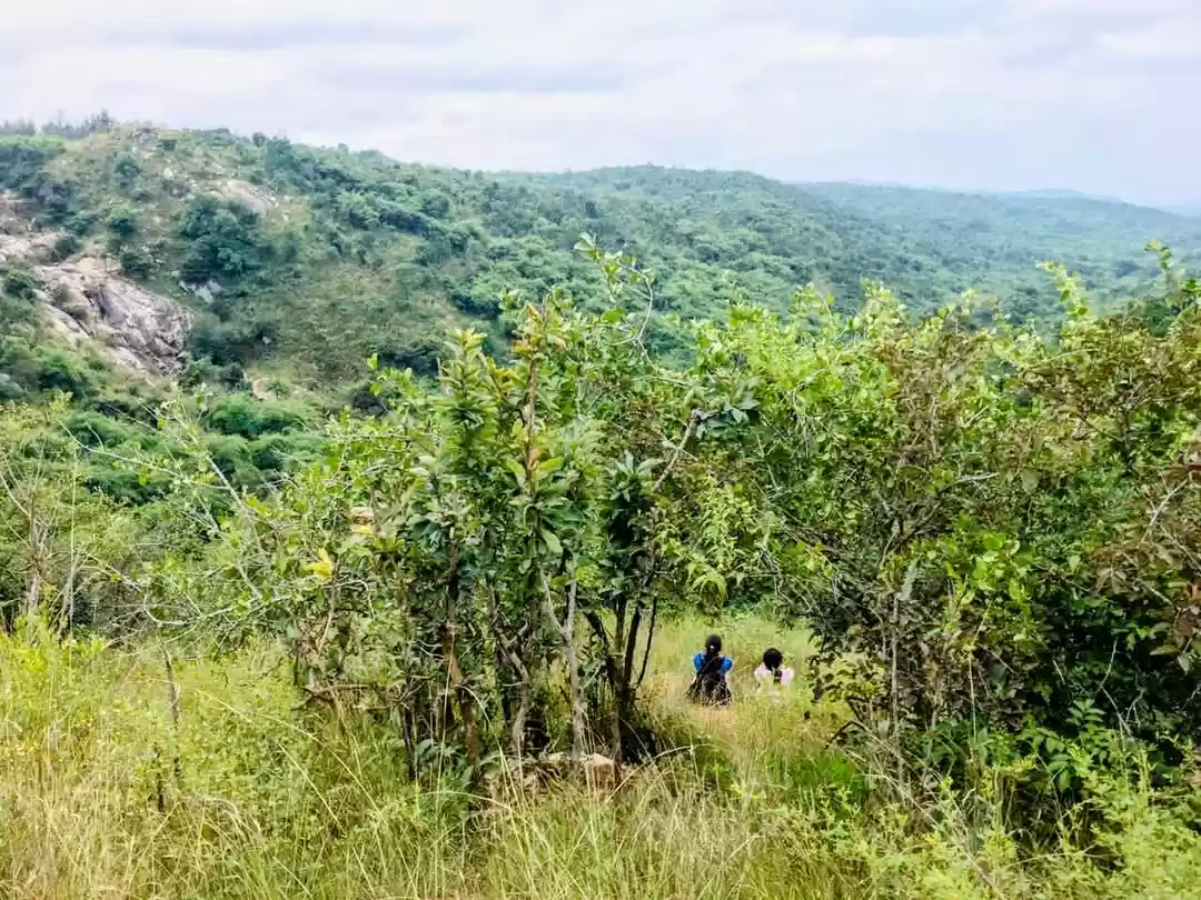 Photo of Exploring Bengaluru