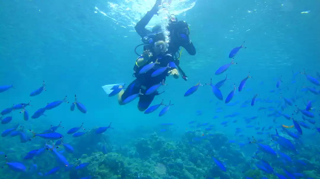 Photo of SHARM- EL- SHEIKH: A