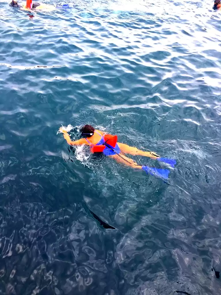 Photo of My first encounter w