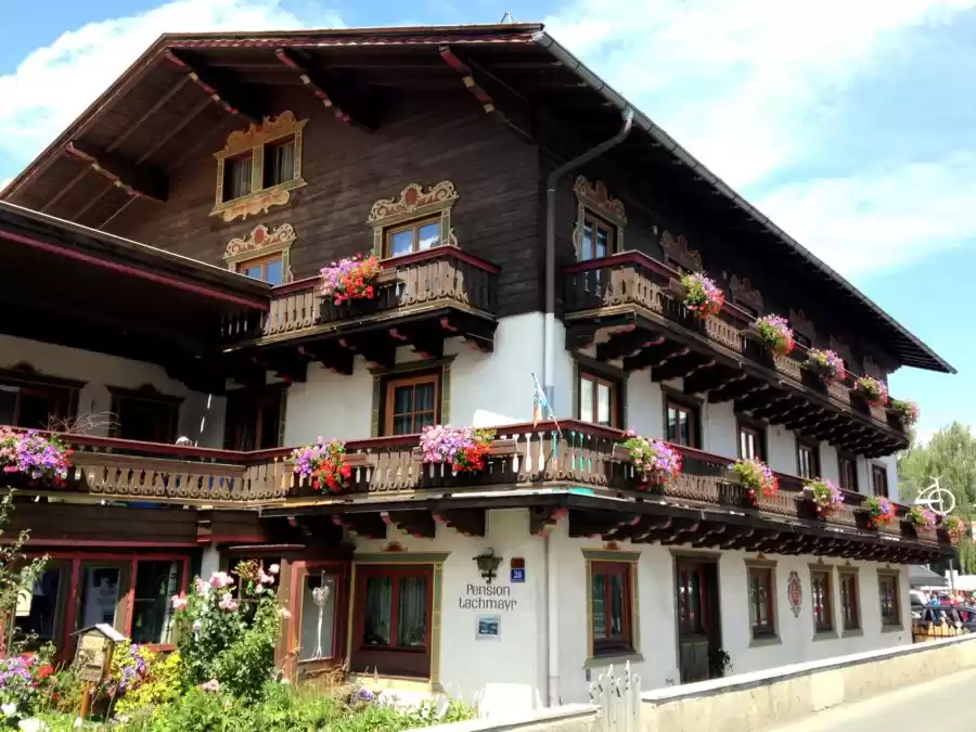 Photo of Surviving the World’