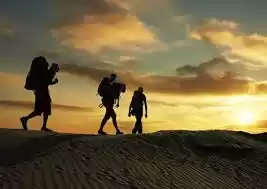 Photo of Tidbits for Happy Tr