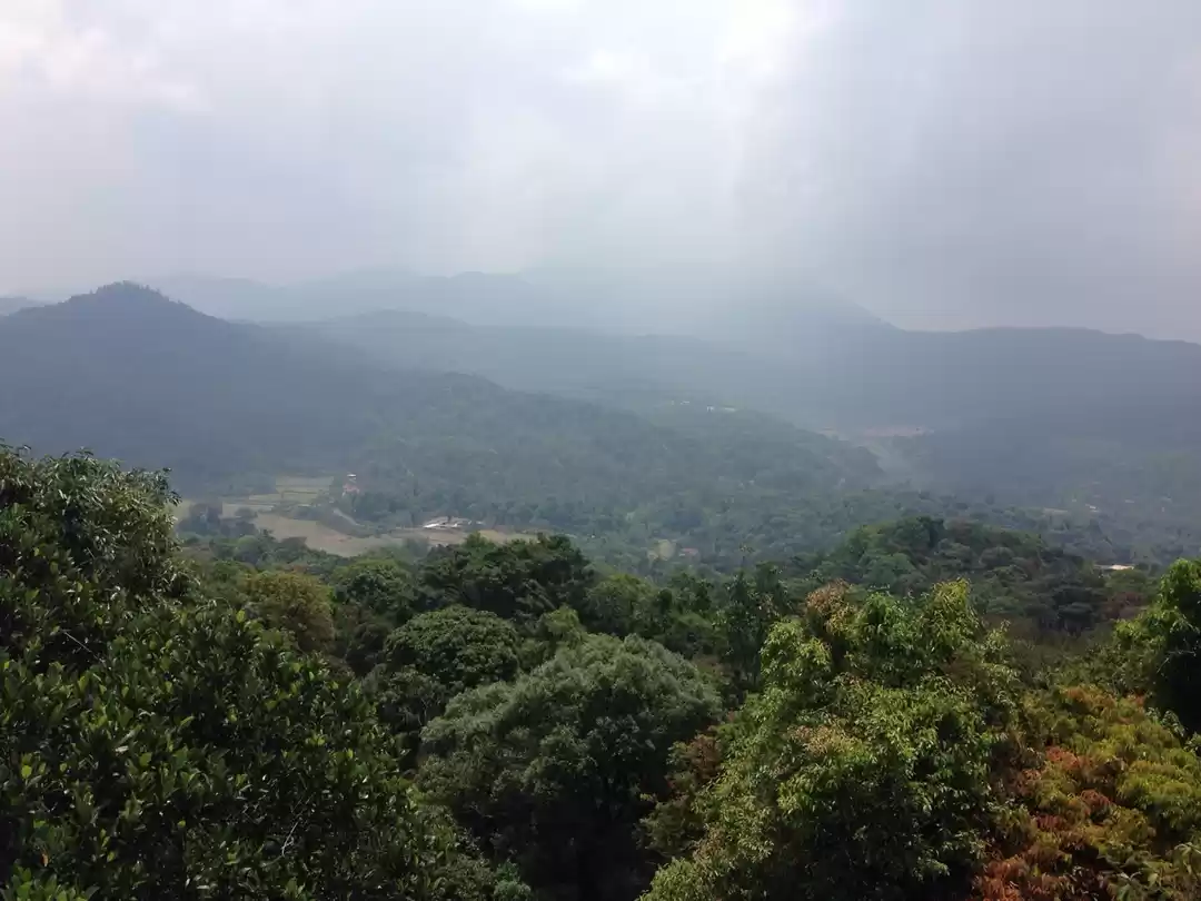 Photo of Celebrating love in 