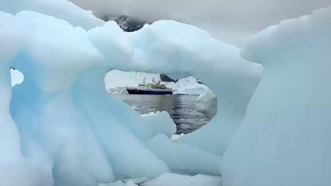 Photo of Antarctica: Dodging 