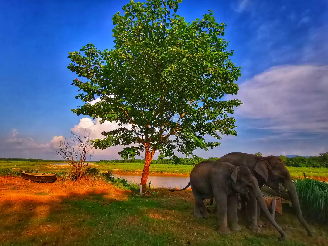 Photo of Nepal - Beyond the M