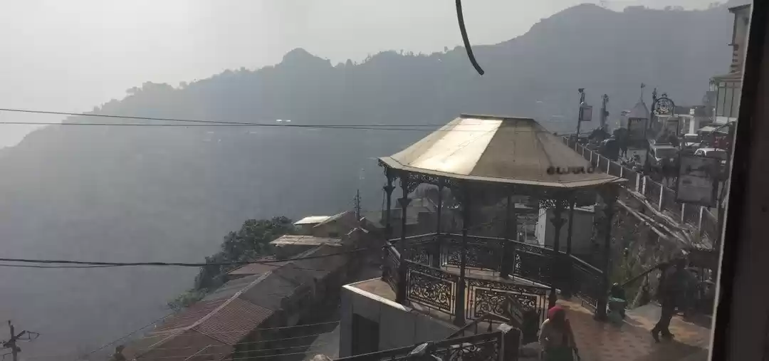 Photo of Food Therapy in Muss