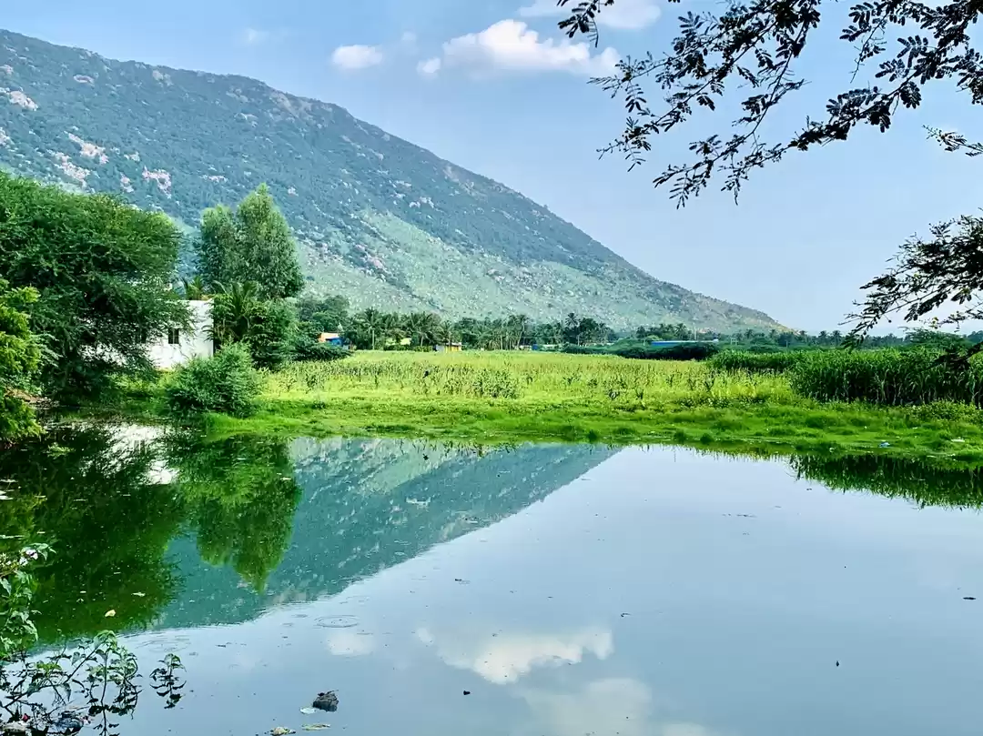 Photo of Road Trip to Yelagir