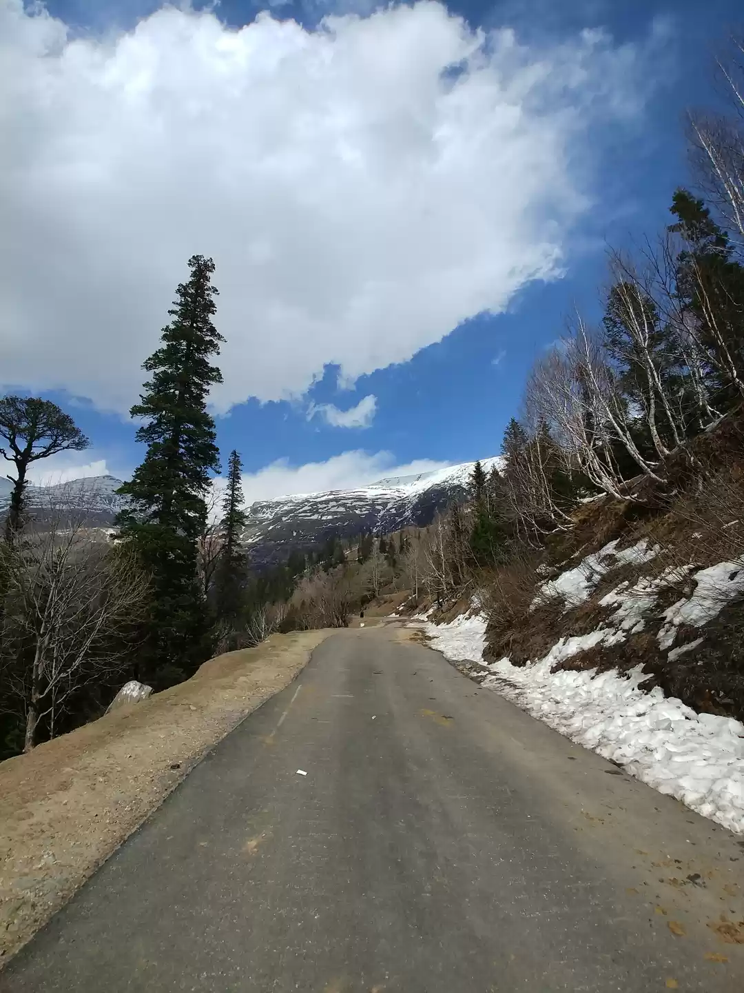 Photo of Travelling is bliss 