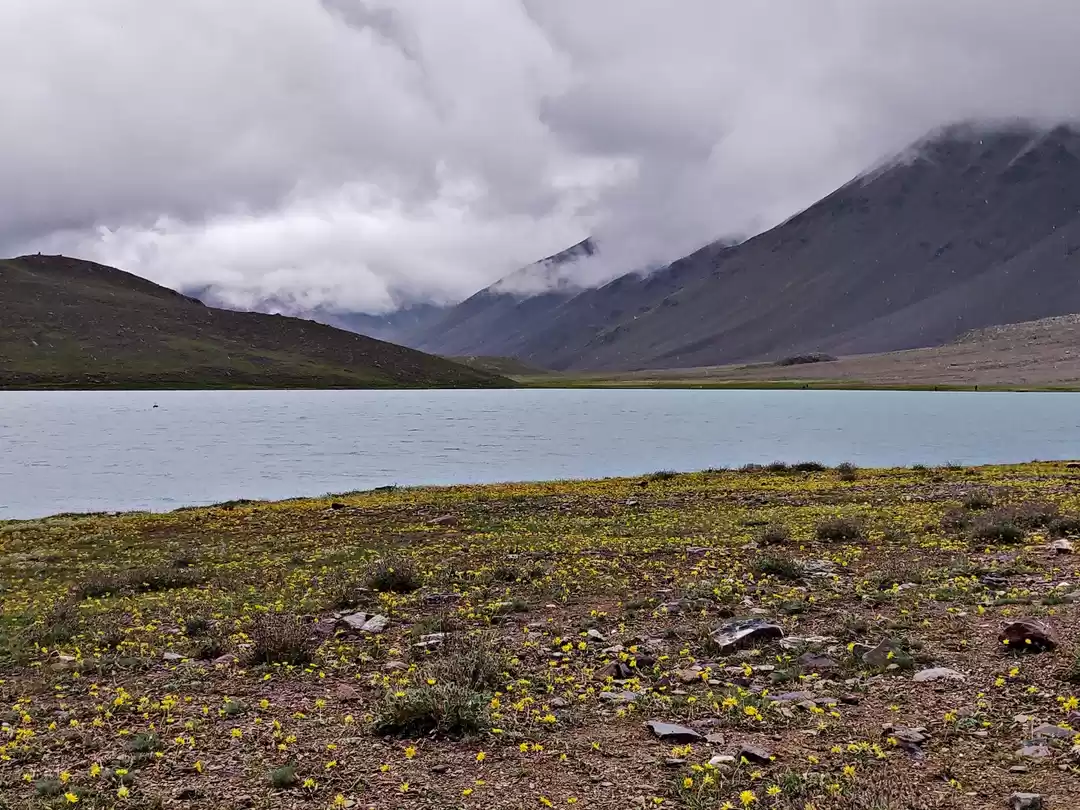 Photo of Kind Stranger of Ch