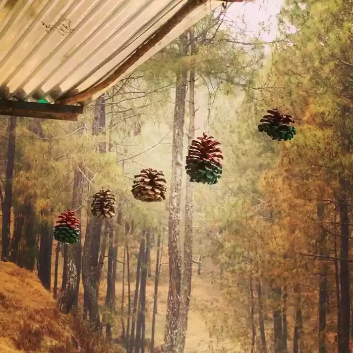 Photo of Kausani, the road le