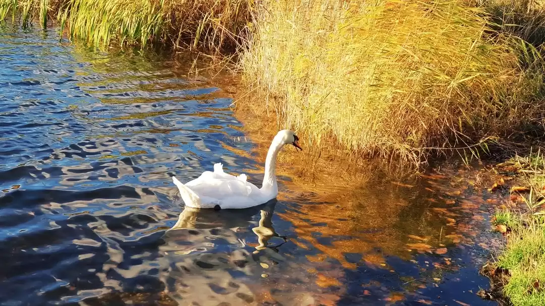 Photo of Virginia Water Park: