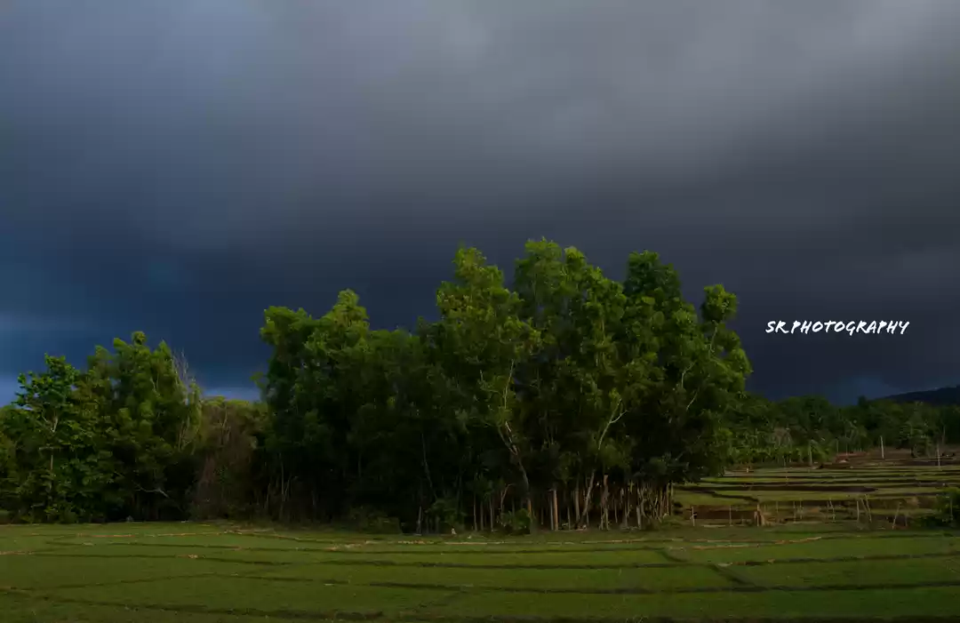 Photo of Dandeli - The Call o