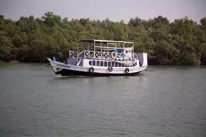 Photo of The Pirates Party!!!