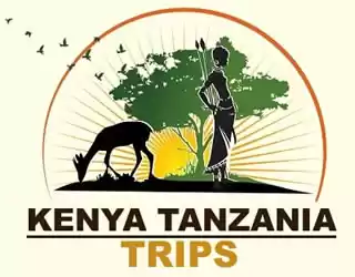 Photo of Kenya Tanzania Trips