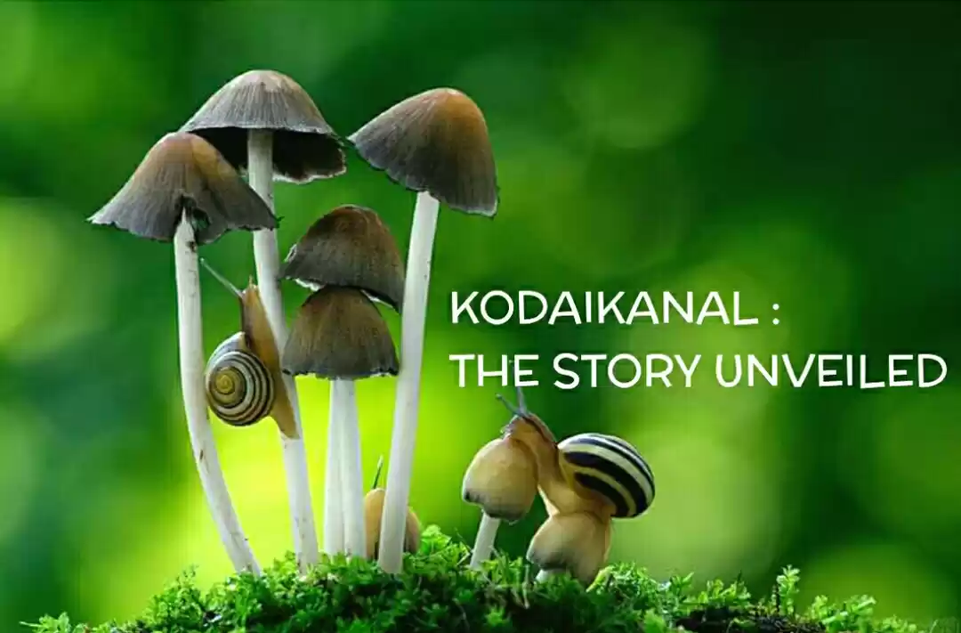 Photo of Kodaikanal: The Stor