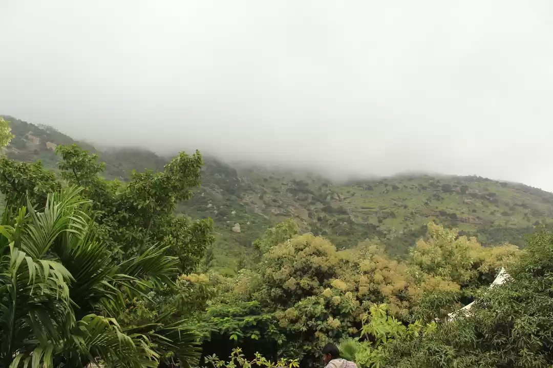 Photo of Discover your advent