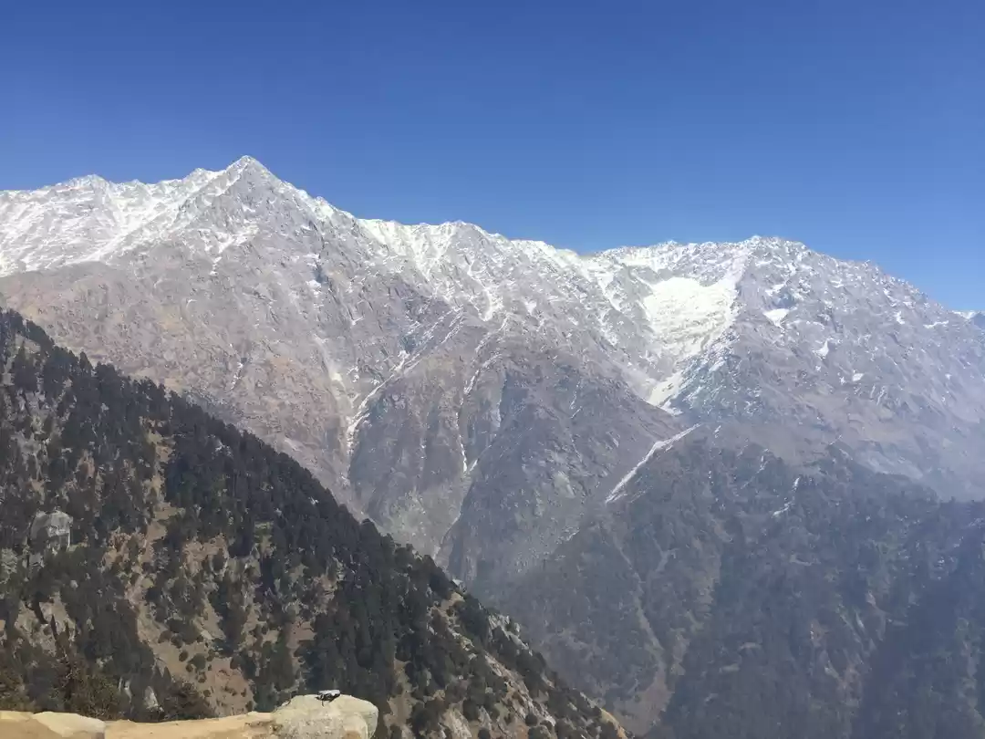 Photo of Life lessons from th