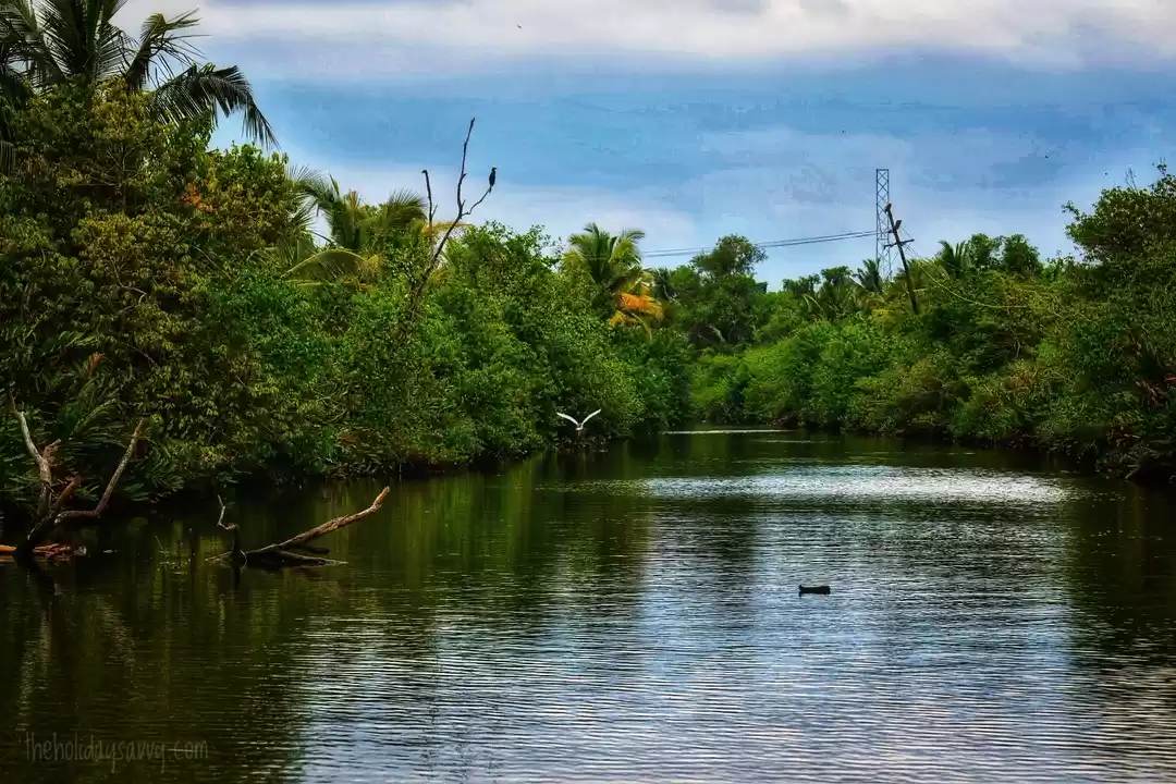 Photo of Serenity #tripotocom