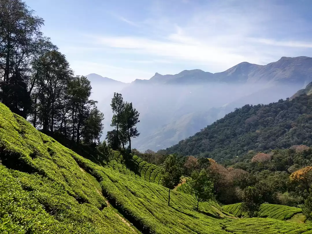 Photo of Discovering why she'