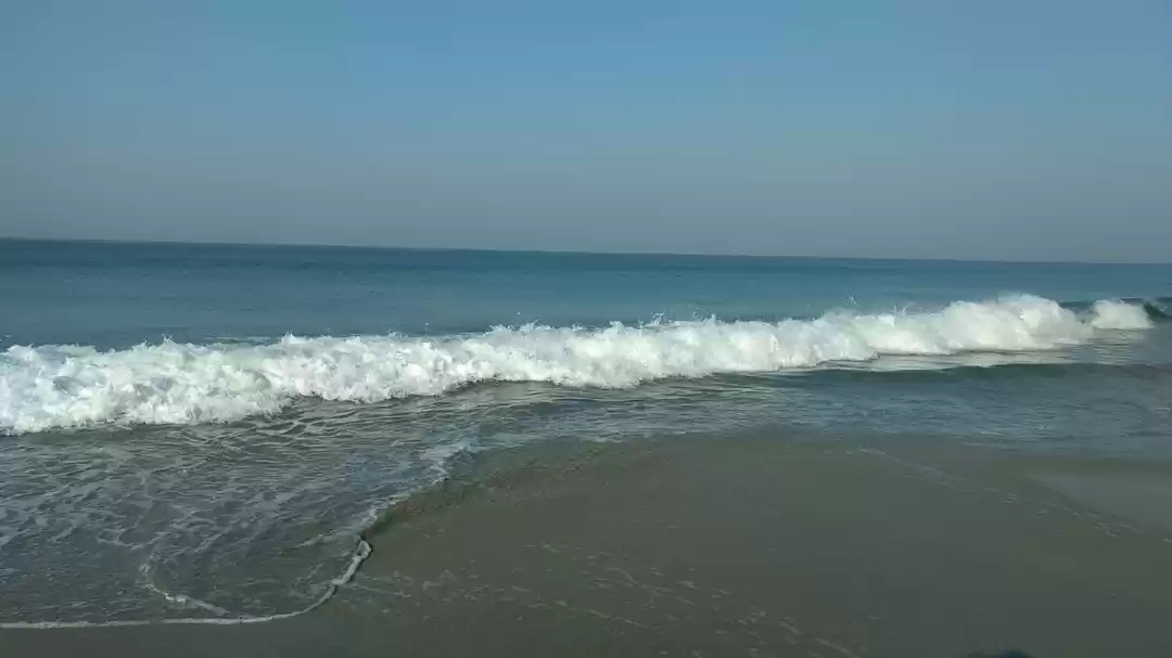 Photo of “Heads to nightlife 