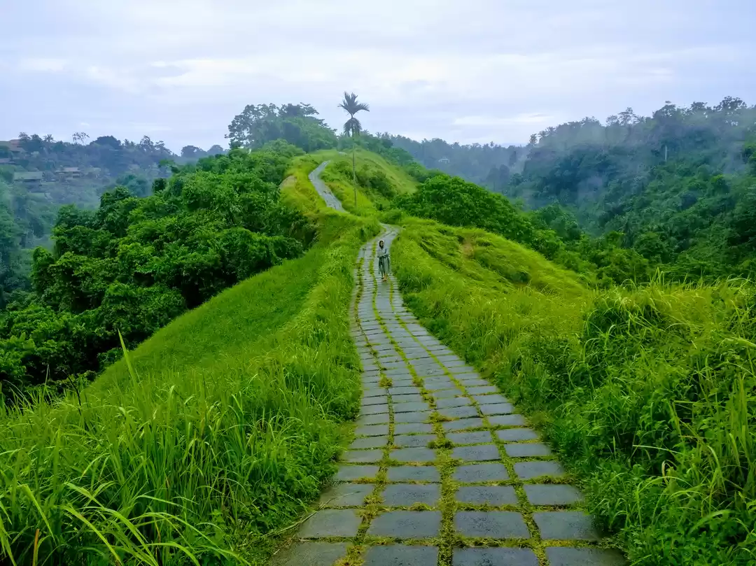 Photo of Campuhan Ridge walk 
