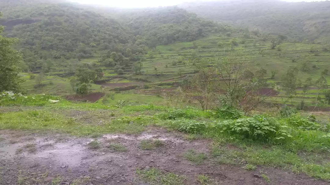 Photo of Walk Trough Between 