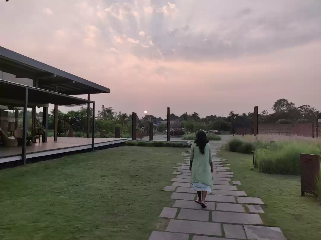 Photo of When you fall in lov