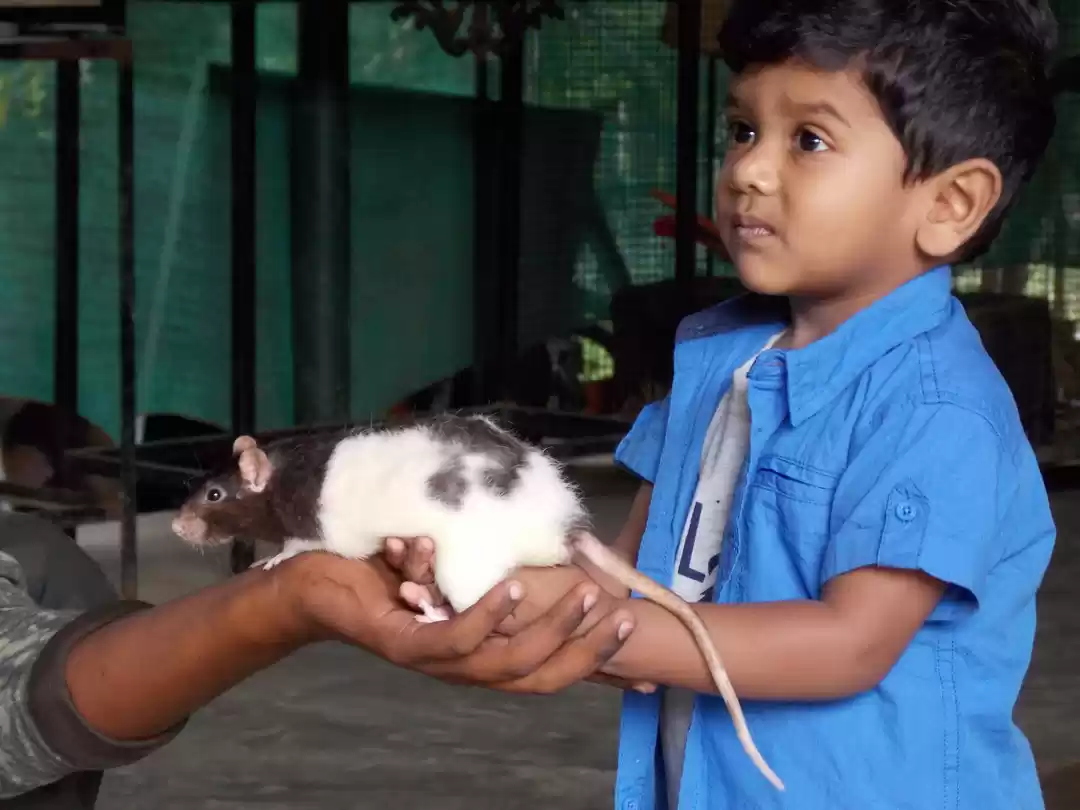 Photo of Prani!! The Pet Sanc