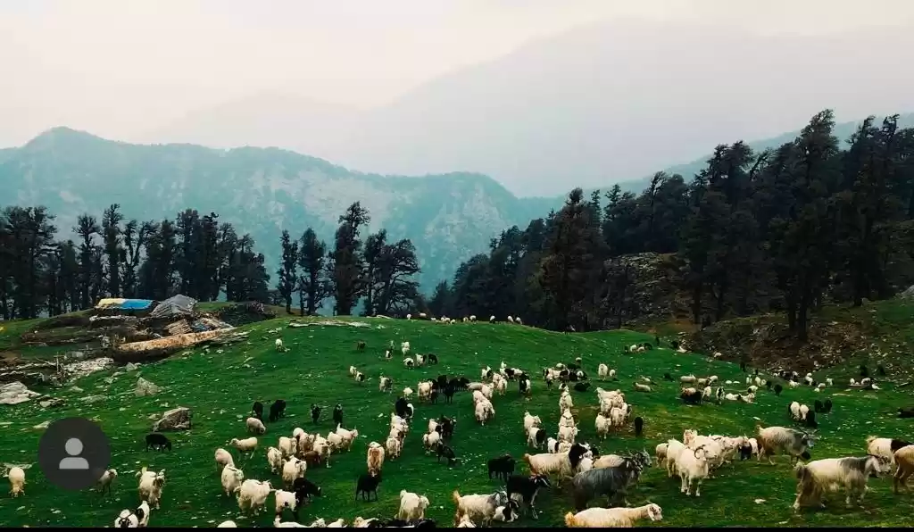 Photo of Reliving My First Hi