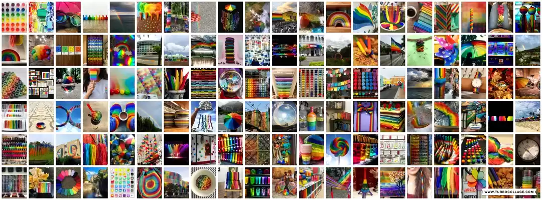 Photo of 100 shades of Rainbo
