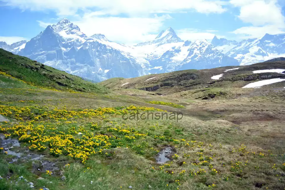 Photo of 7 days in Alps: Memo