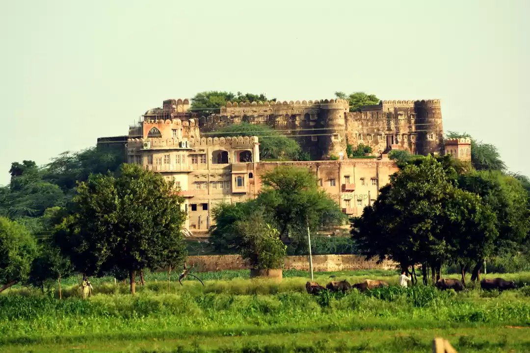 Photo of Neemrana Hill fort K