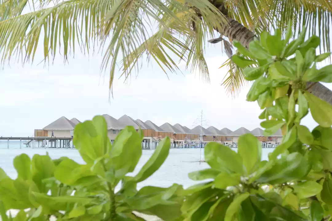 Photo of Mooning in Maldives