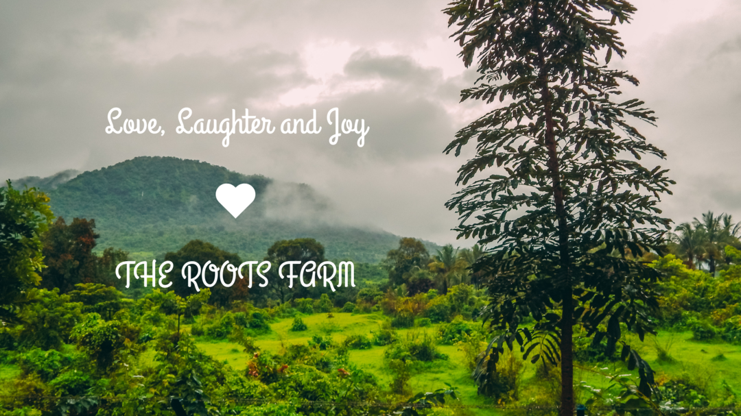 Photo of A secret farm getawa