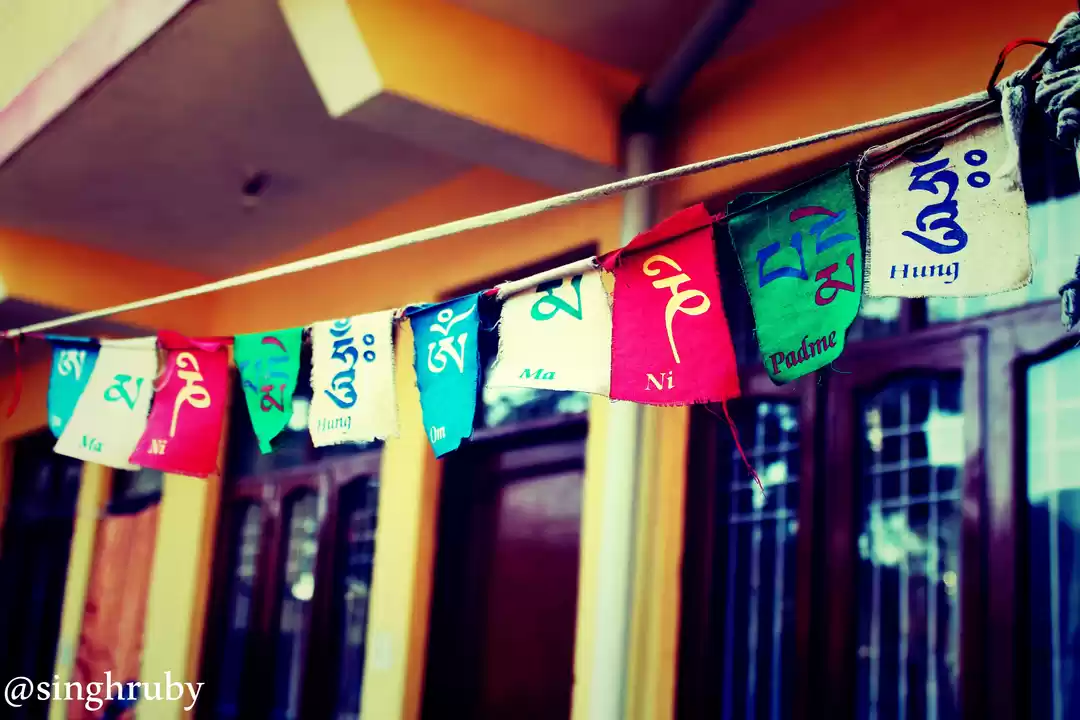 Photo of Planning to go to Mc