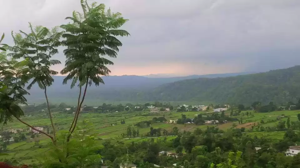 Photo of Nature at its best i