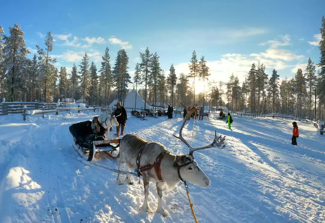 Photo of Arctic dreams | Lapl