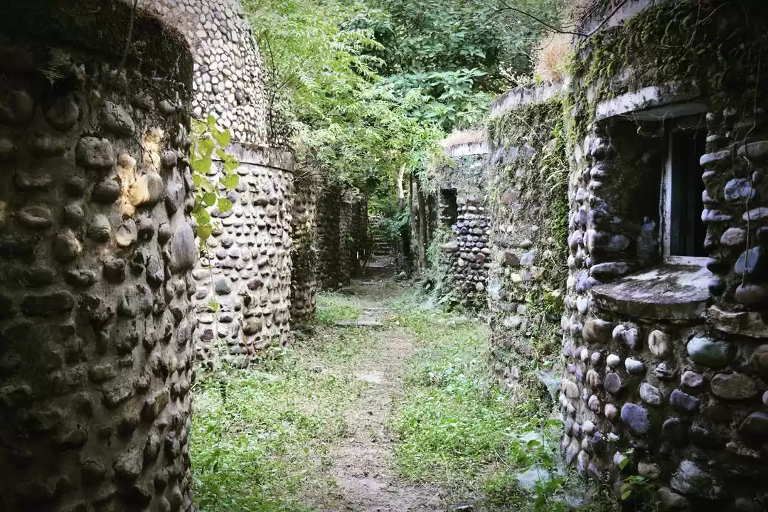 Photo of Maharishi Mahesh Yog