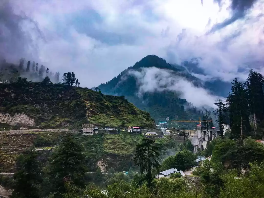 Photo of In search of the for