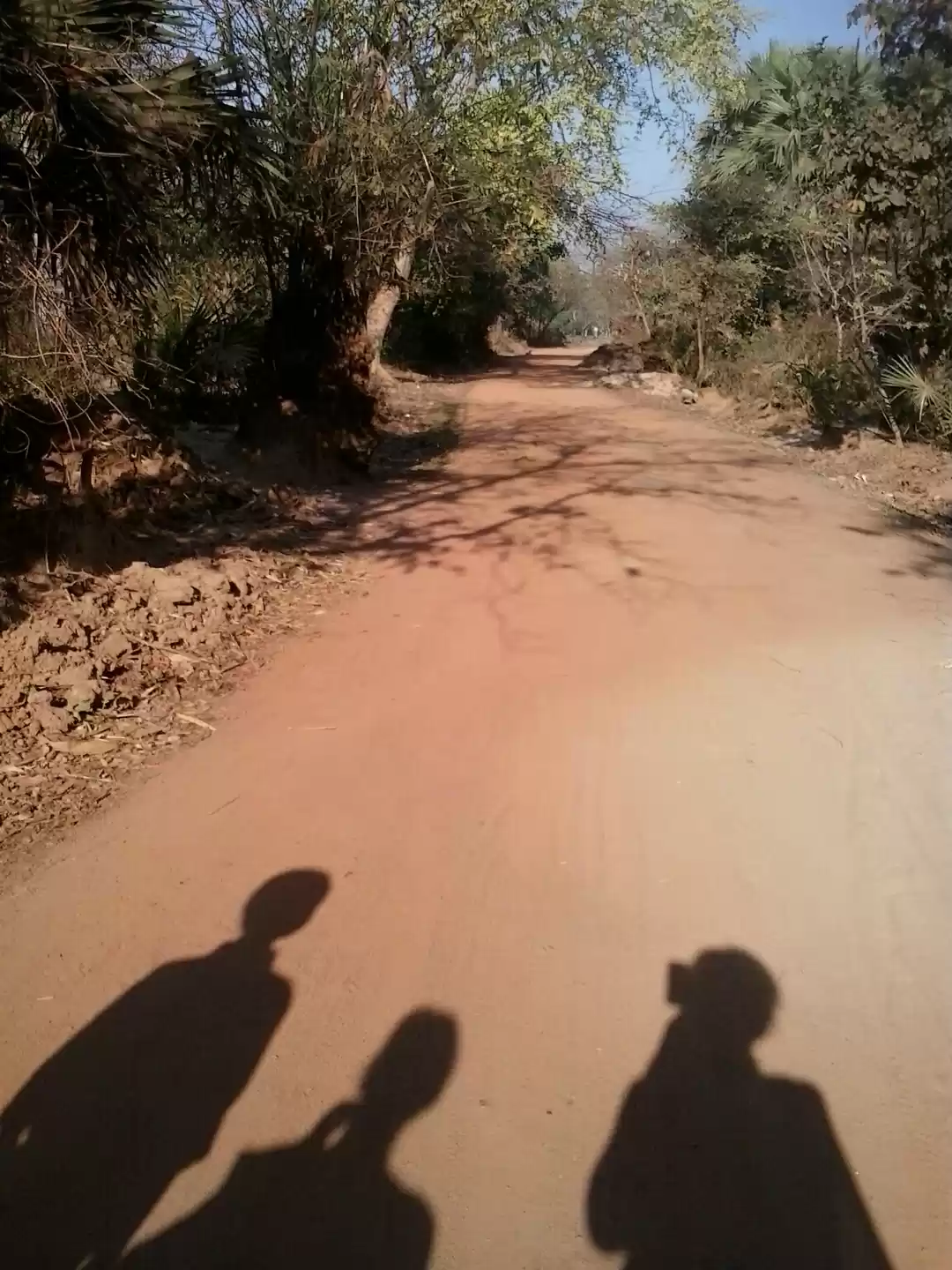 Photo of Away from city,in la