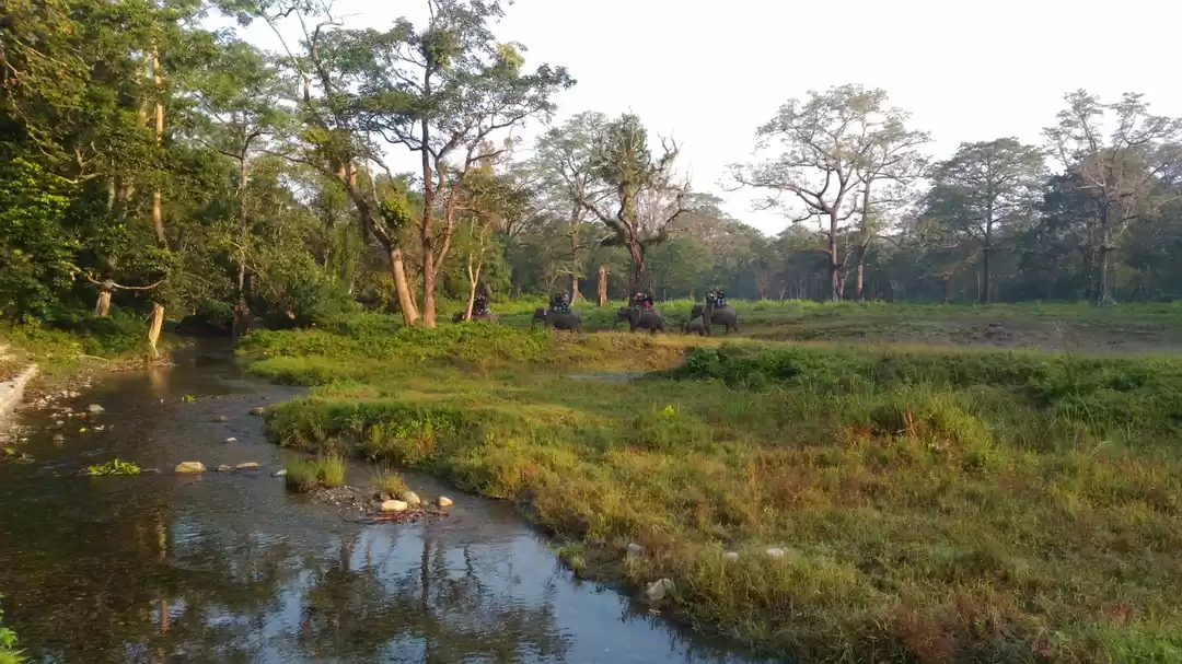 Photo of A Sudden yet Memorab