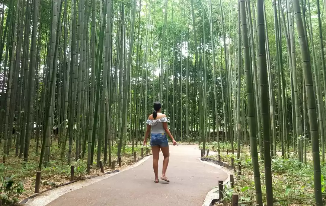 Photo of Tips for Freelancing