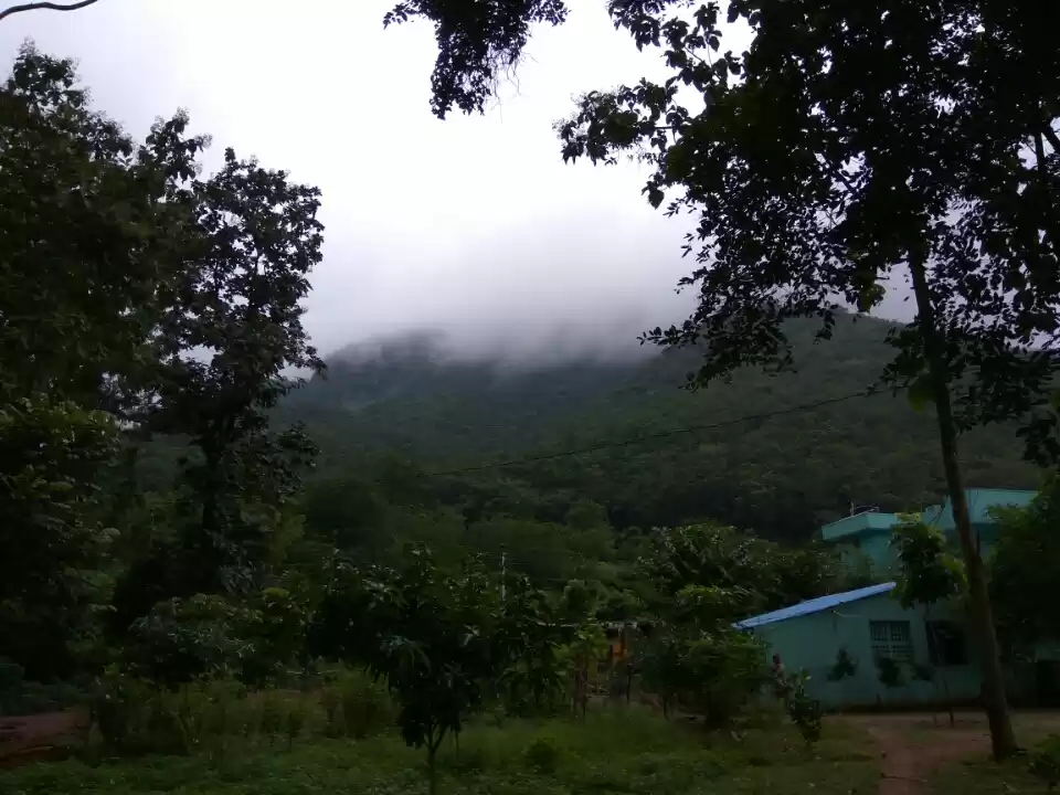 Photo of A Day In East Godava