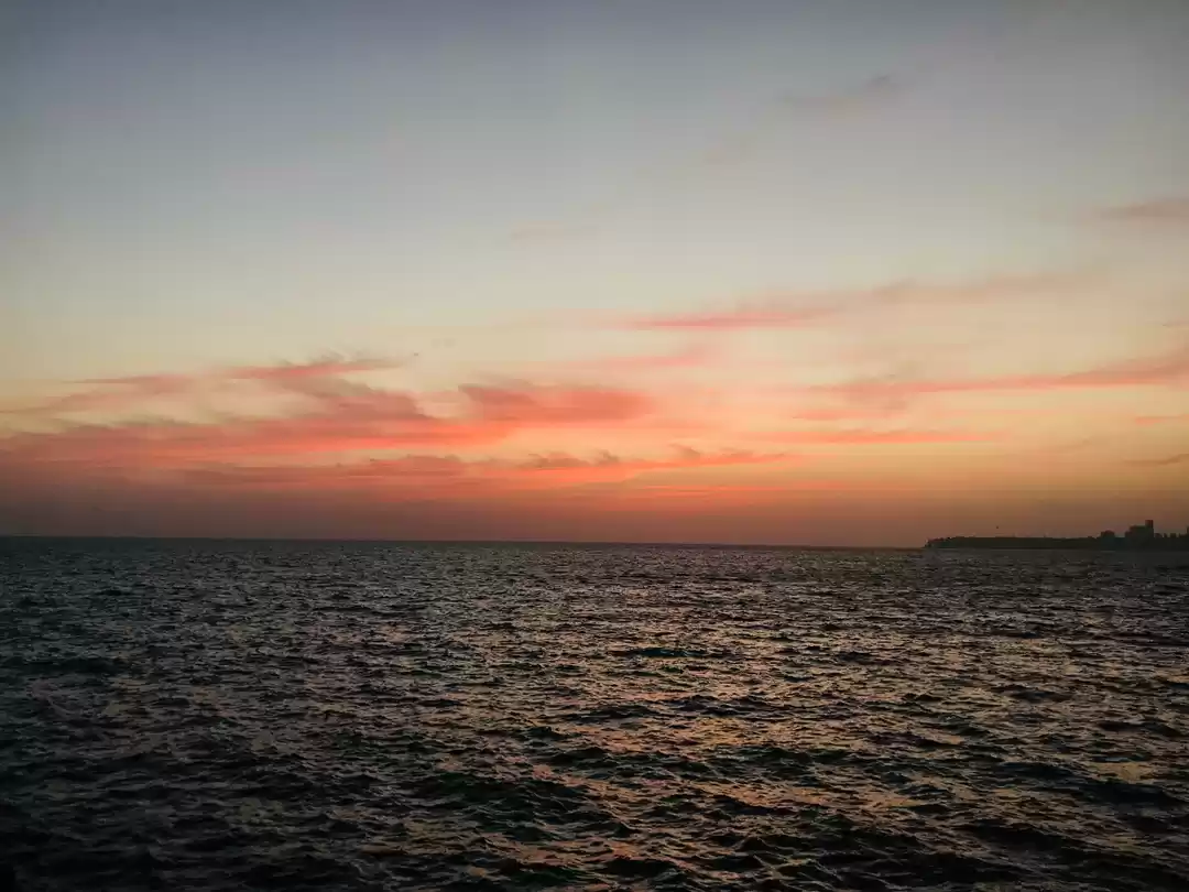 Photo of How to spend a day i