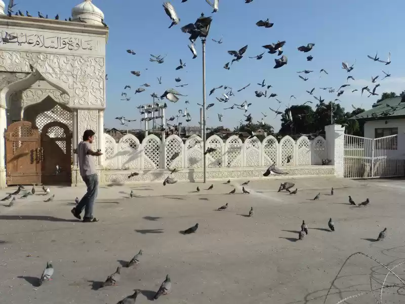 Photo of Heaven can wait.